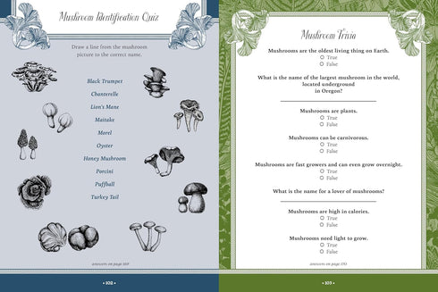 FOREST, FAIRIES, MUSHROOMS & GOBLINS STICKER, COLOR & ACTIVITY BOOK - CHARTWELL
